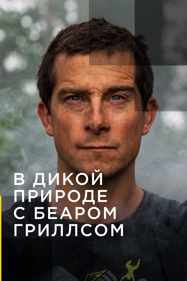 В дикой природе с Беаром Гриллсом - постер